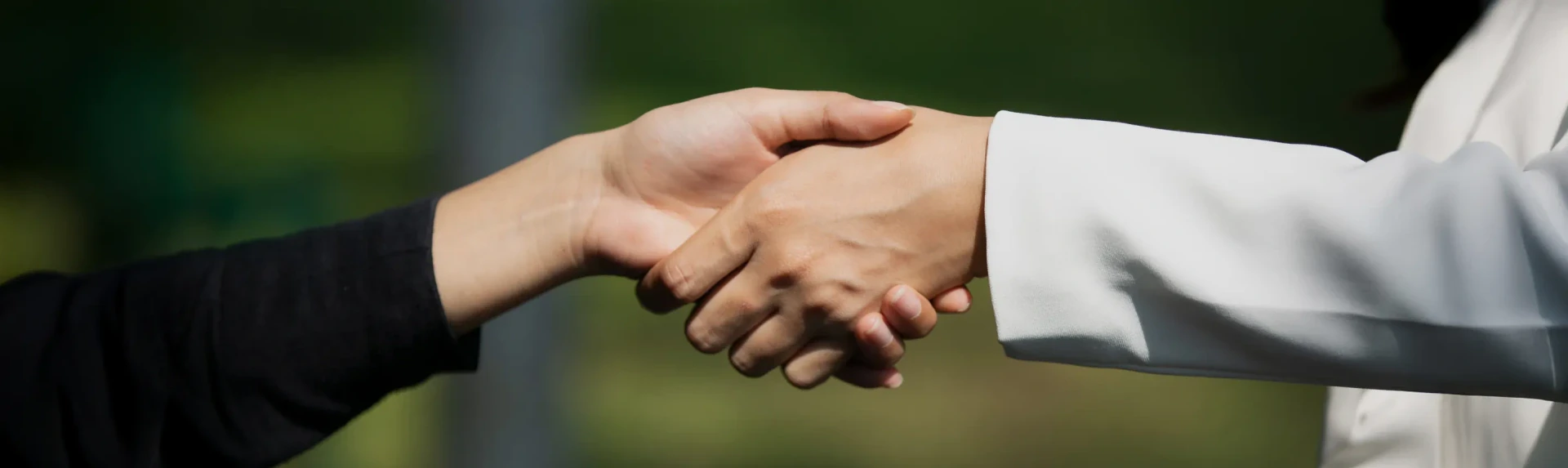 Stakeholder Engagement