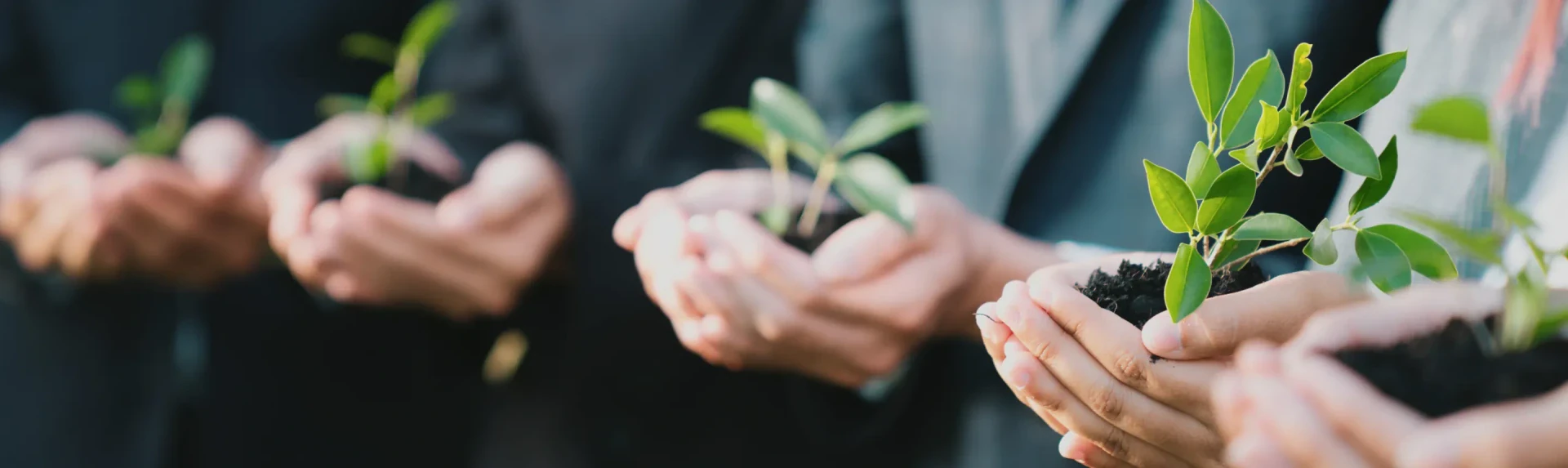 Sustainability Management Principles