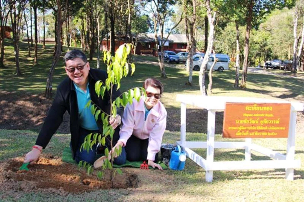 TTW กับการปลูกป่า 1 ล้านต้น...ที่ต้องได้ “ป่า” และนำมาซึ่ง “ต้นน้ำ” อย่างแท้จริง