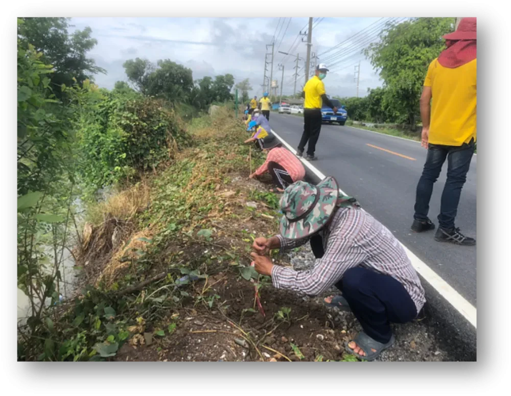 TTW and Bang Rakam Subdistrict Administrative Organization join the activity "Unite Thai to plant trees for the land, and carry on to 100 million trees"