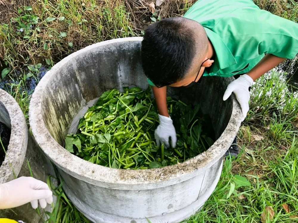 TTW organized a training program on “Compost, Save the Earth, Save the Environment” to promote waste separation and composting of food waste