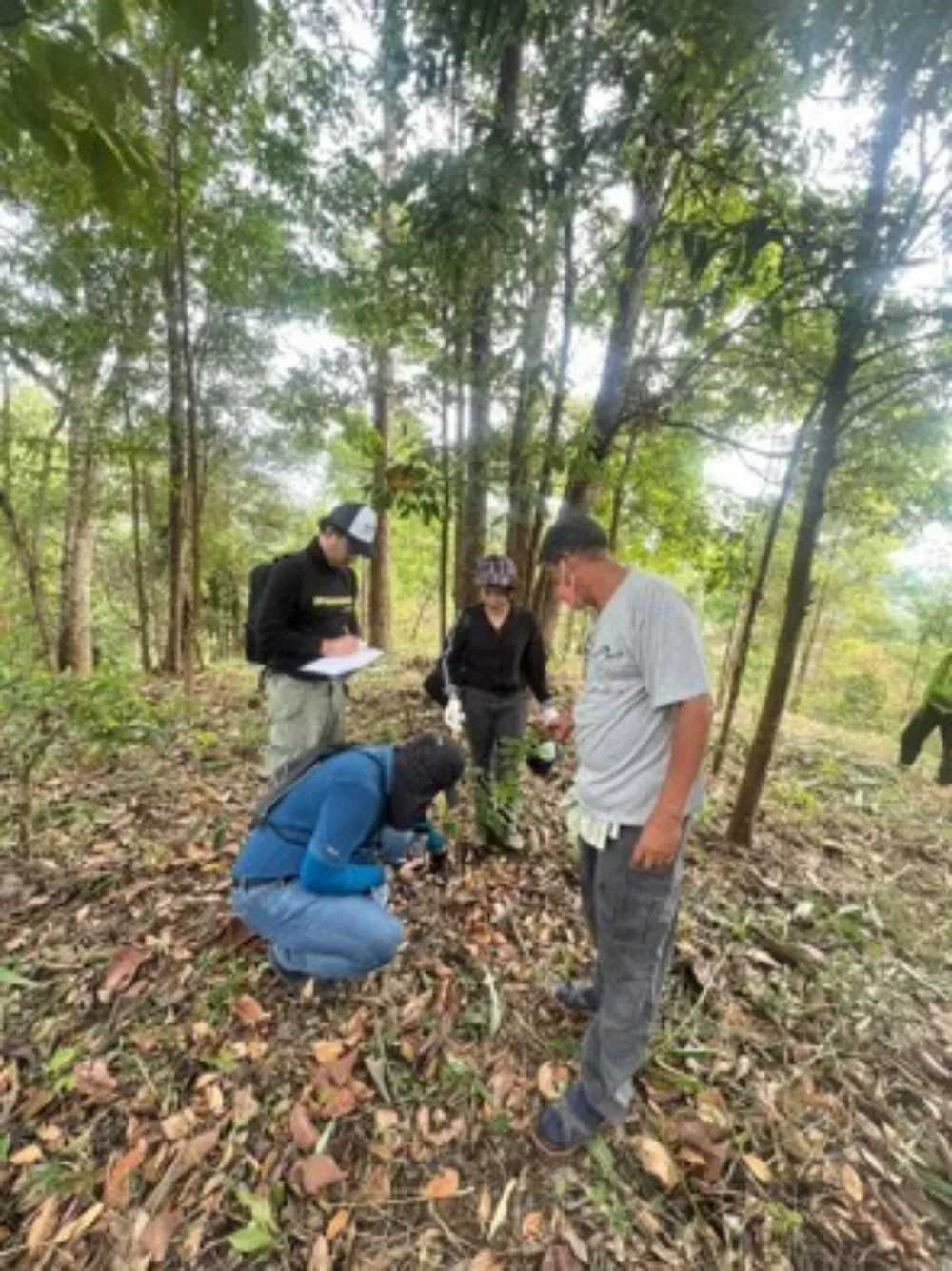 TTW ร่วมกับ ชมรมเรารักแม่น้ำท่าจีน จังหวัดนครปฐม ลงพื้นที่ตรวจติดตามผลป่าที่ปลูก ​ โครงการ “1 ล้านกล้า สร้างป่าต้นน้ำ” ประจำปี 2565 ณ อุทยานแห่งชาติทองผาภูมิ