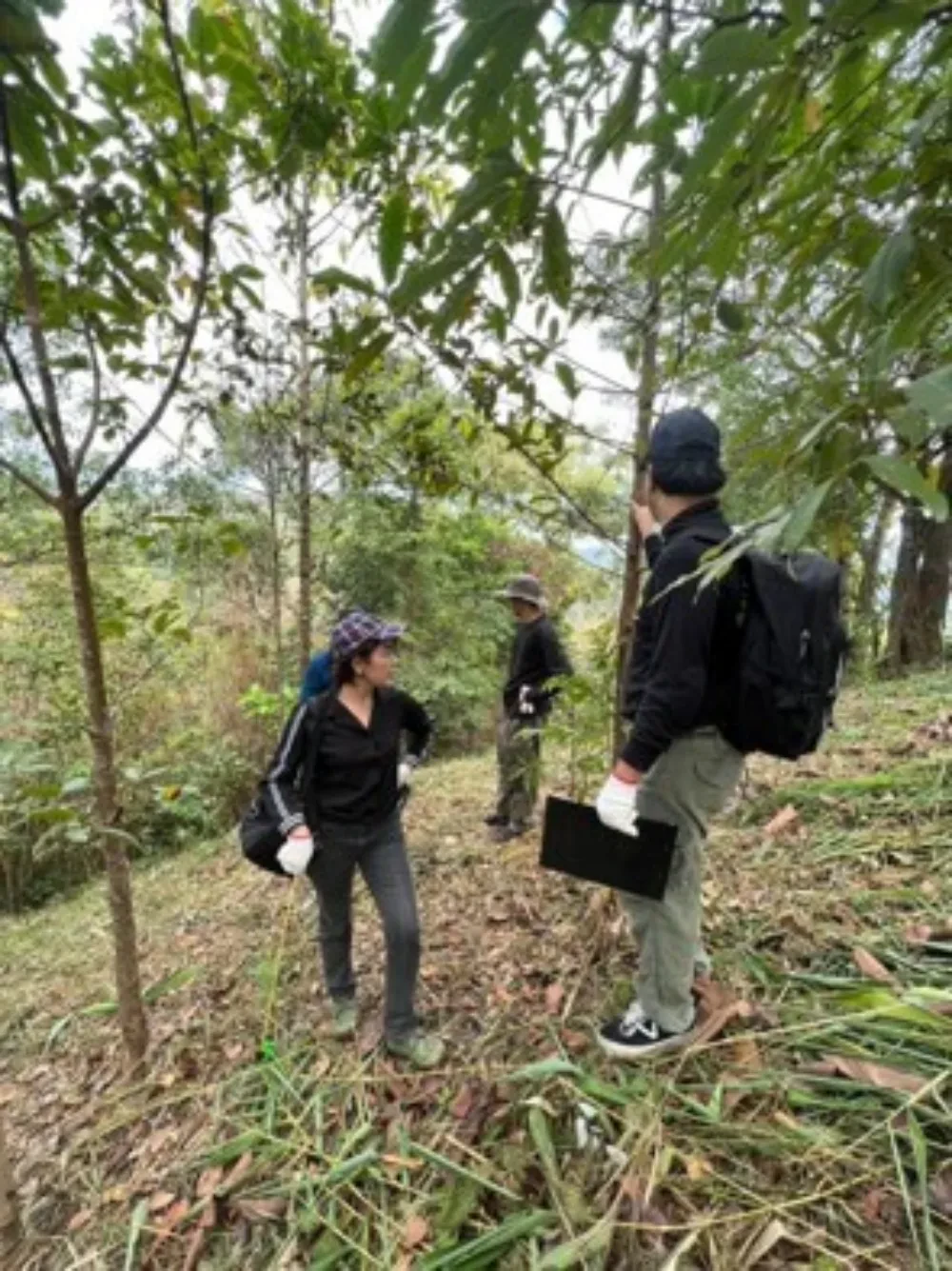 TTW ร่วมกับ ชมรมเรารักแม่น้ำท่าจีน จังหวัดนครปฐม ลงพื้นที่ตรวจติดตามผลป่าที่ปลูก ​ โครงการ “1 ล้านกล้า สร้างป่าต้นน้ำ” ประจำปี 2565 ณ อุทยานแห่งชาติทองผาภูมิ