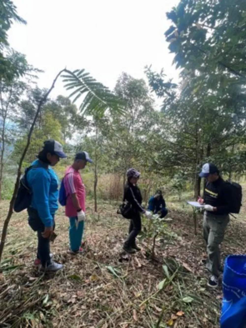TTW ร่วมกับ ชมรมเรารักแม่น้ำท่าจีน จังหวัดนครปฐม ลงพื้นที่ตรวจติดตามผลป่าที่ปลูก ​ โครงการ “1 ล้านกล้า สร้างป่าต้นน้ำ” ประจำปี 2565 ณ อุทยานแห่งชาติทองผาภูมิ
