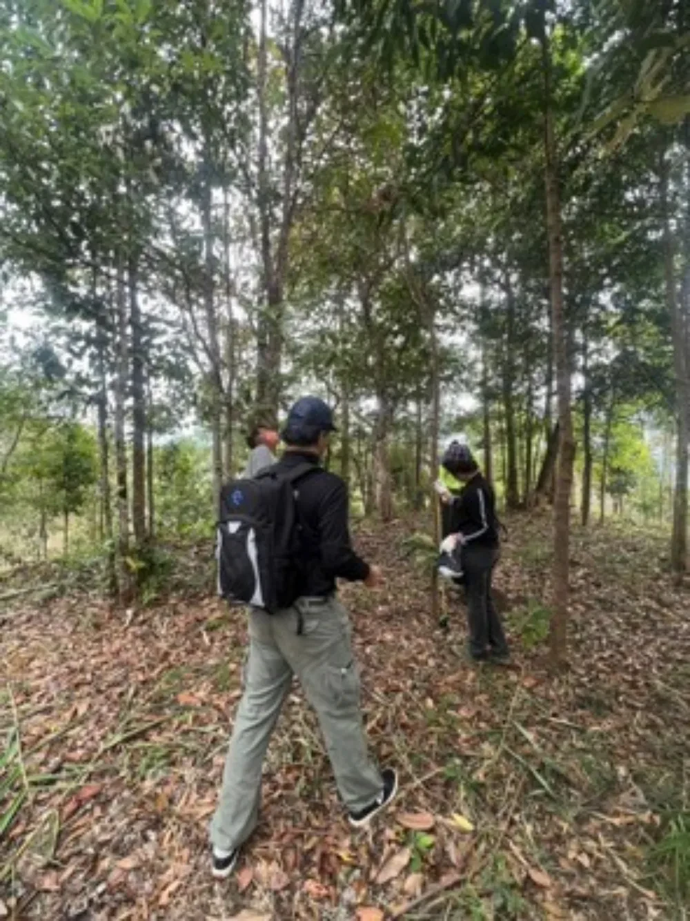 TTW ร่วมกับ ชมรมเรารักแม่น้ำท่าจีน จังหวัดนครปฐม ลงพื้นที่ตรวจติดตามผลป่าที่ปลูก ​ โครงการ “1 ล้านกล้า สร้างป่าต้นน้ำ” ประจำปี 2565 ณ อุทยานแห่งชาติทองผาภูมิ