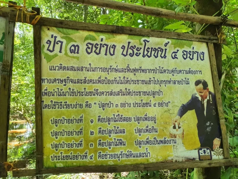 TTW joins hands with Bang Pa-In Industrial Estate to support the "Eco Green Network and Stakeholder Network Development Project," which aims to upgrade the eco-industrial city