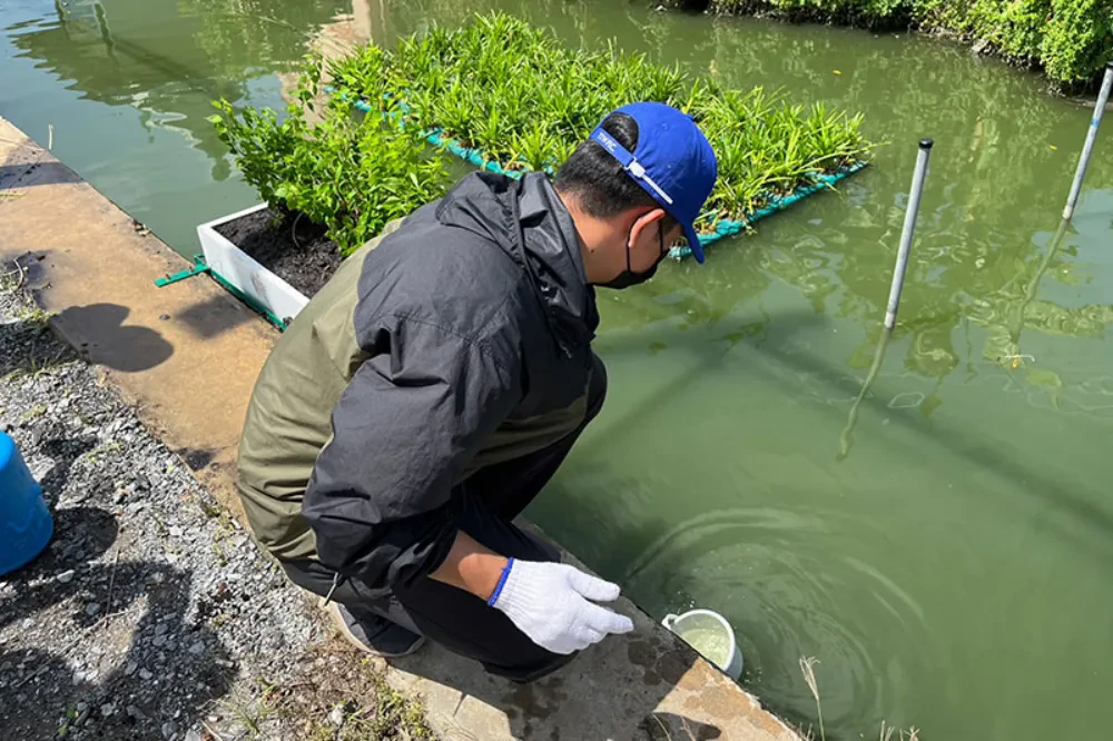 TTW organized a tree planting activity to enhance the landscape around Bang Sue Canal under the project "Restoring the Water Quality of Khlong Bang Sue Canal to Conserve the Tha Chin River," in collaboration with community representatives and entrepreneurs situated along theKhlong Bang Sue Canal