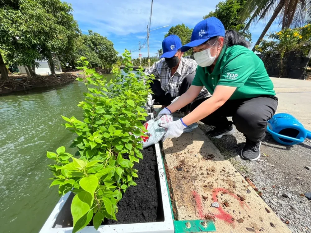 TTW organized a tree planting activity to enhance the landscape around Bang Sue Canal under the project "Restoring the Water Quality of Khlong Bang Sue Canal to Conserve the Tha Chin River," in collaboration with community representatives and entrepreneurs situated along theKhlong Bang Sue Canal