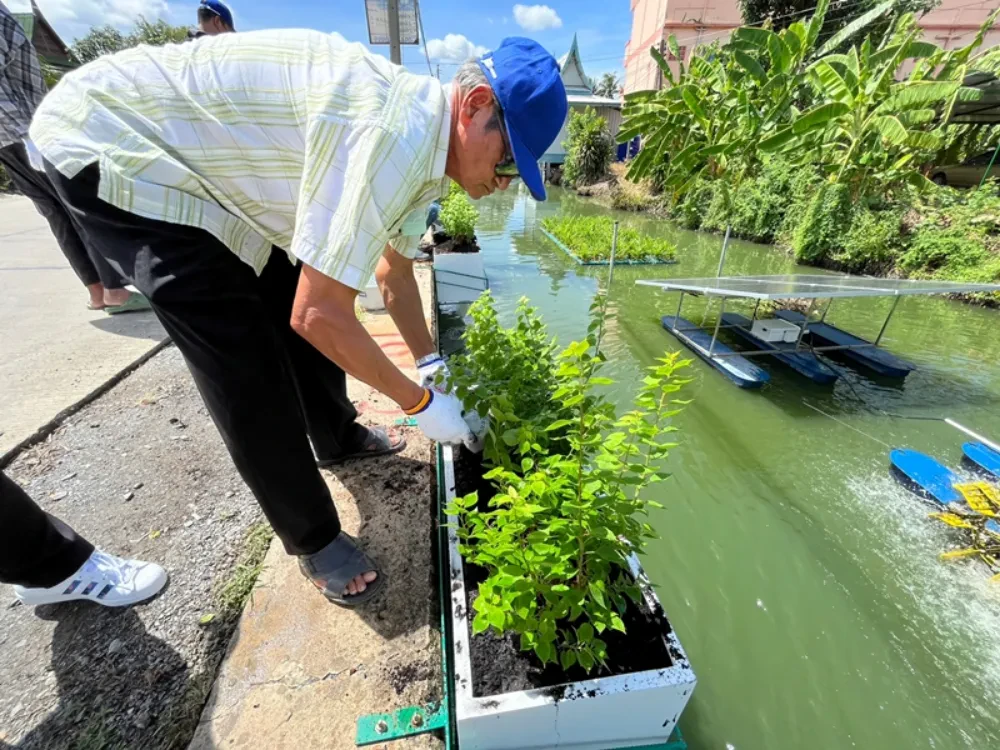 TTW organized a tree planting activity to enhance the landscape around Bang Sue Canal under the project "Restoring the Water Quality of Khlong Bang Sue Canal to Conserve the Tha Chin River," in collaboration with community representatives and entrepreneurs situated along theKhlong Bang Sue Canal