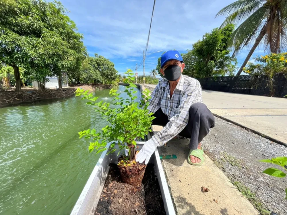 TTW organized a tree planting activity to enhance the landscape around Bang Sue Canal under the project "Restoring the Water Quality of Khlong Bang Sue Canal to Conserve the Tha Chin River," in collaboration with community representatives and entrepreneurs situated along theKhlong Bang Sue Canal
