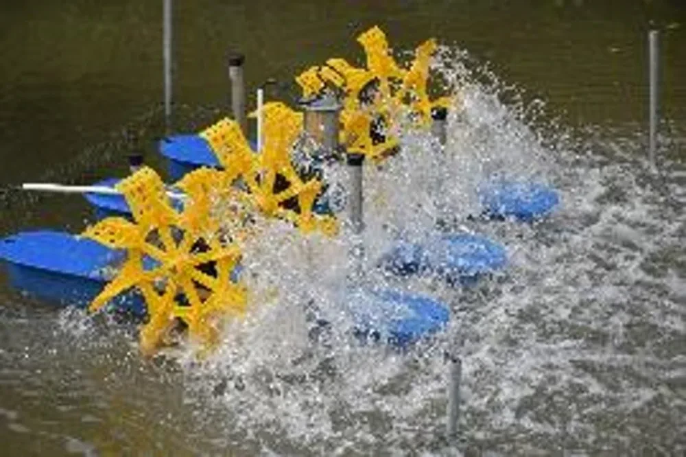 TTW จัดพิธีส่งมอบโครงการ “ฟื้นฟูคุณภาพน้ำคลองบางซื่อ เพื่ออนุรักษ์แม่น้ำท่าจีน” ให้แก่ เทศบาลเมืองไร่ขิง