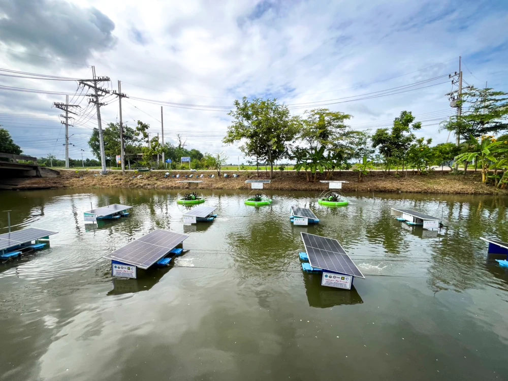 TTW participated in supporting the "Beautiful Canal, Clean Water at Bang Pa-in" campaign on World Environment Day, promoting sustainable water resource and environmental conservation